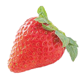 ゆうやけベリー